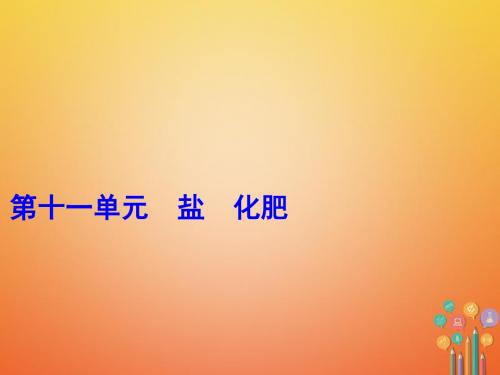 2018人教版中考化学一轮讲练第11单元盐、化肥(2份)(优秀版)