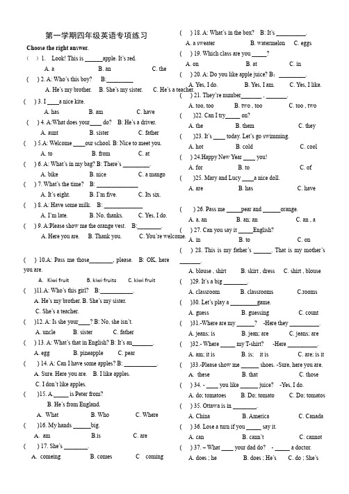 期末单项选择(专项训练)-2024-2025学年人教精通版英语四年级上册