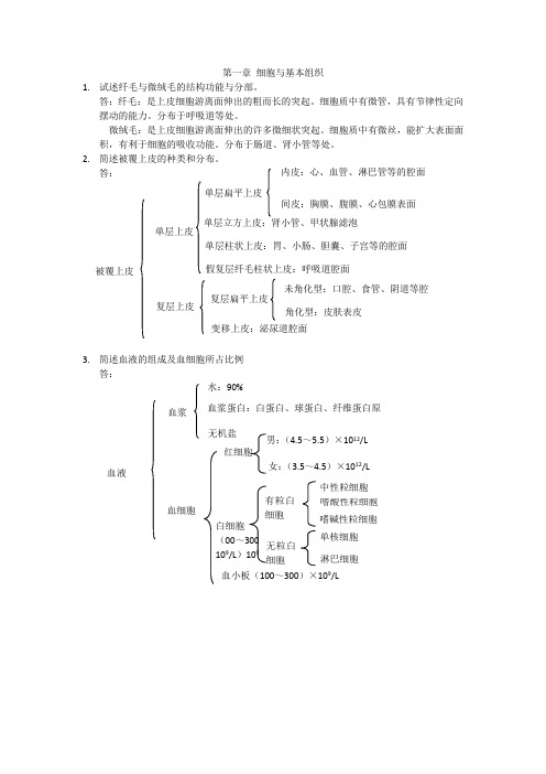 解剖学简答题