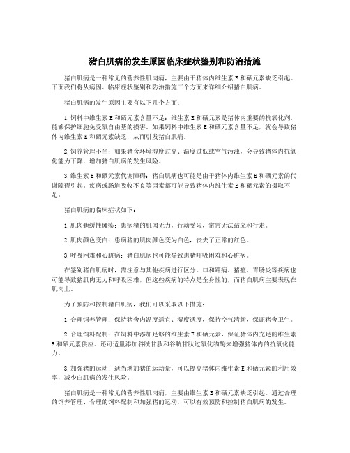 猪白肌病的发生原因临床症状鉴别和防治措施