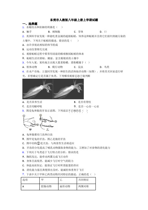 东莞市人教版八年级上册上学期试题