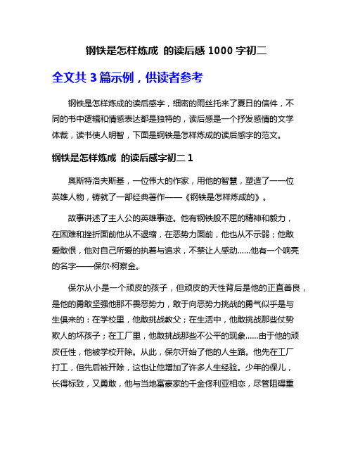 钢铁是怎样炼成 的读后感1000字初二