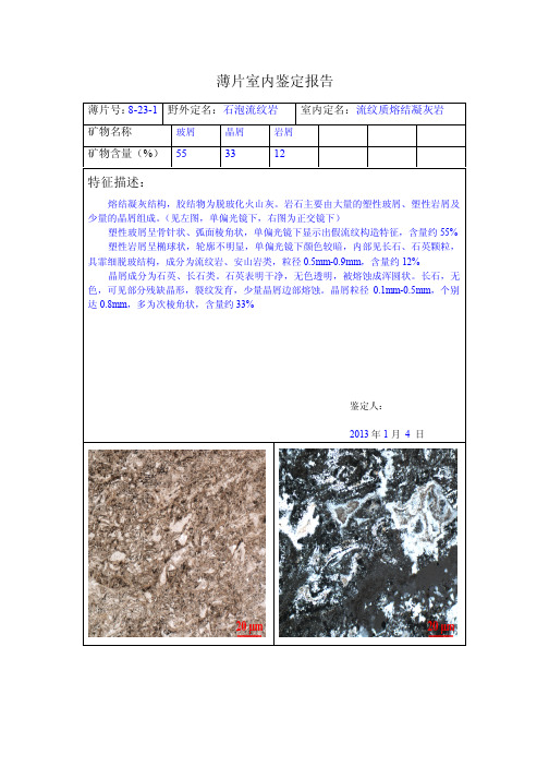 火山岩薄片鉴定报告