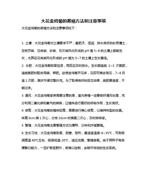 大花金鸡菊的养殖方法和注意事项