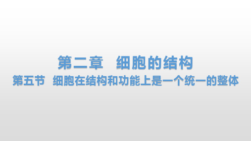 细胞在结构和功能上是一个统一的整体