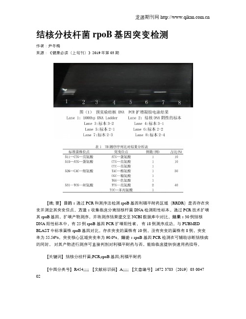 结核分枝杆菌rpoB基因突变检测