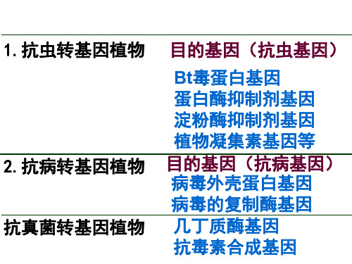 高二生物基因工程的应用