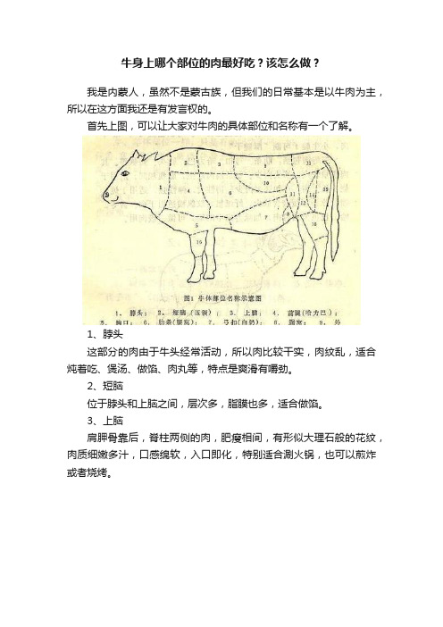 牛身上哪个部位的肉最好吃？该怎么做？