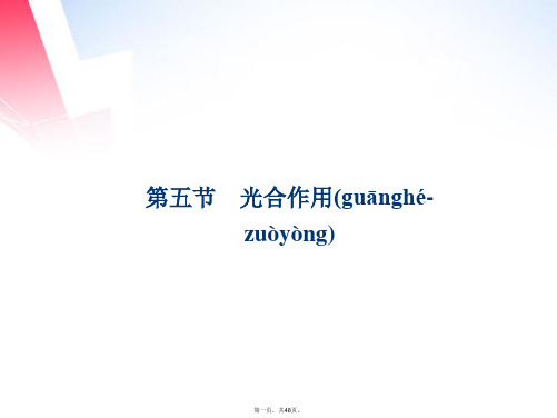 高中生物 第三章第五节光合作用课件 浙科版必修1