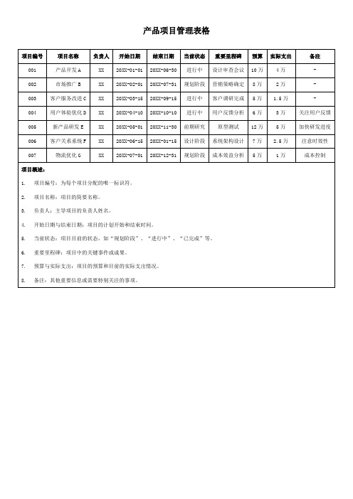 产品项目管理表格