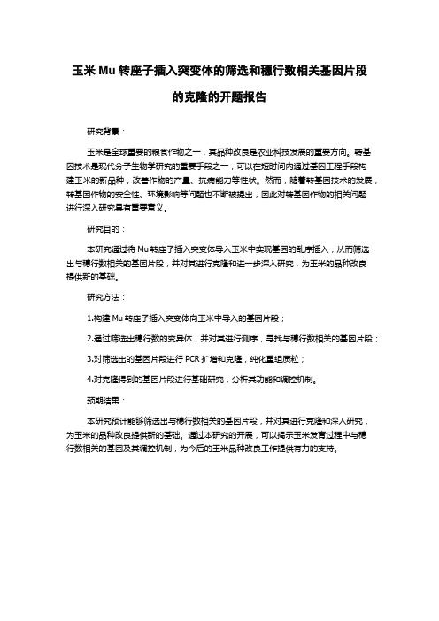 玉米Mu转座子插入突变体的筛选和穗行数相关基因片段的克隆的开题报告