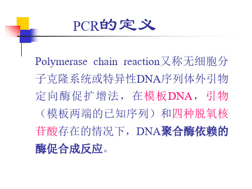 基因扩增技术-课件
