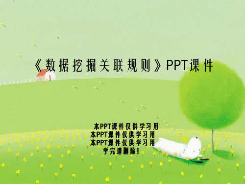 《数据挖掘关联规则》PPT课件