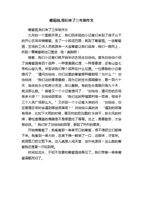 葡萄园,我们来了三年级作文