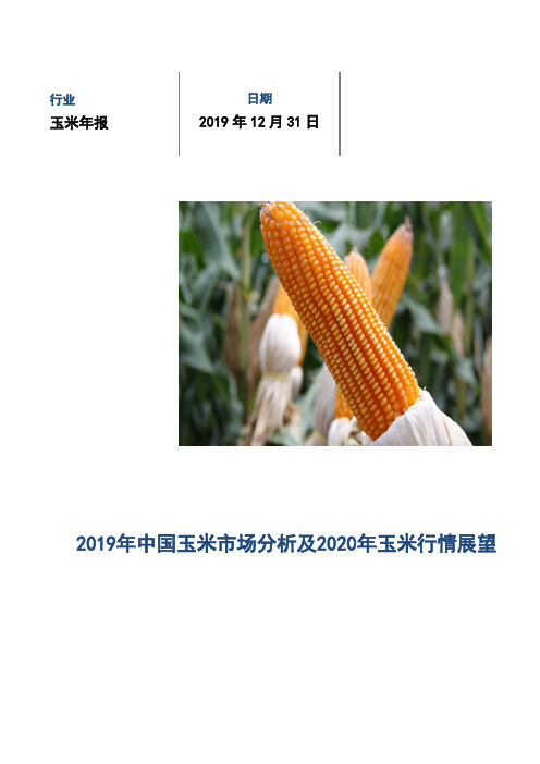 2019年中国玉米市场分析及2020年玉米行情展望