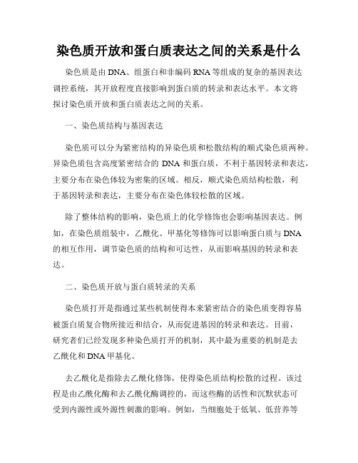 染色质开放和蛋白质表达之间的关系是什么