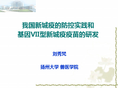 刘秀梵我国新城疫的防控实践和基因VII型新城疫疫苗的研发116-2