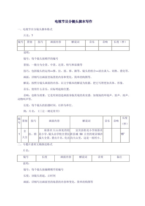 电视节目分镜头脚本写作