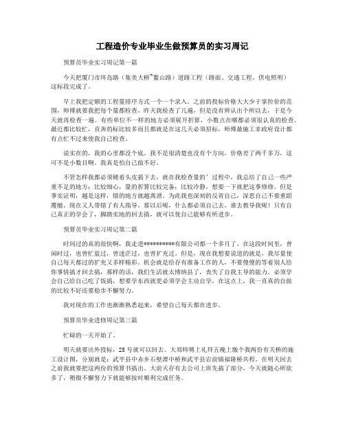 工程造价专业毕业生做预算员的实习周记