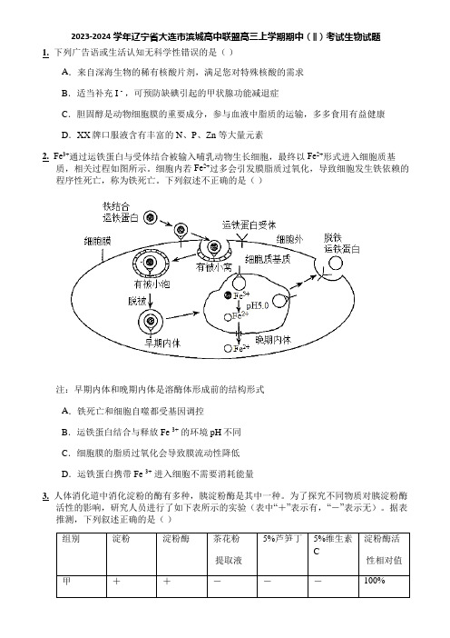 2023-2024学年辽宁省大连市滨城高中联盟高三上学期期中(‖)考试生物试题