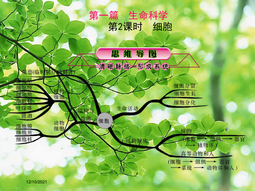 中考科学第一轮总复习 第一篇 生命科学 第2课时 细胞自然科学课件