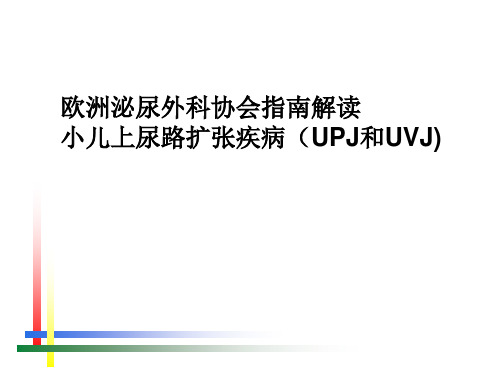 欧洲泌尿外科协会指南解读小儿上尿路扩张疾病(UPJ和UVJ)