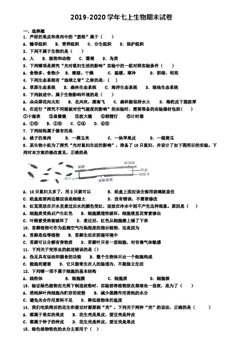 【9份试卷合集】邢台市2019-2020学年生物七上期末考试模拟试题