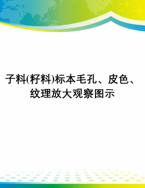 子料(籽料)标本毛孔、皮色、纹理放大观察图示