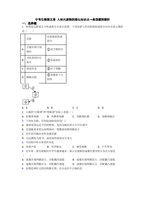 中考生物第五章 人体内废物的排出知识点-+典型题附解析