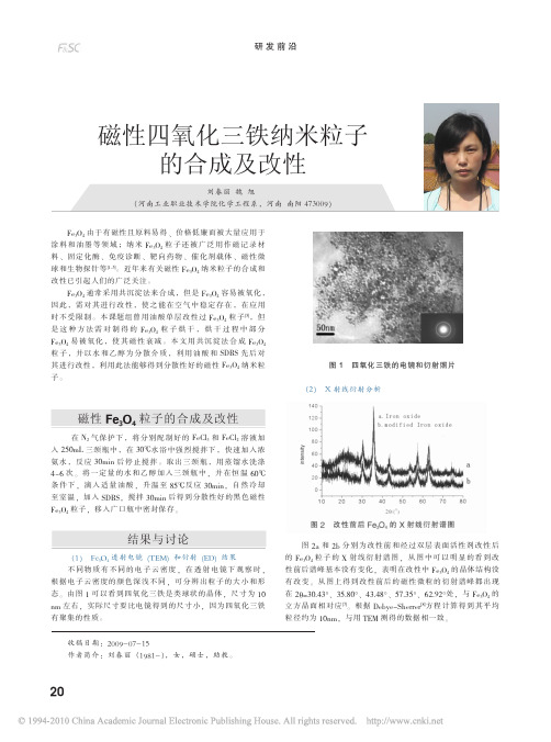 磁性四氧化三铁纳米粒子的合成及改性