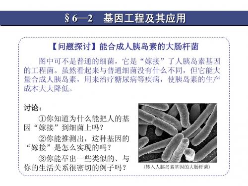 2-6-2基因工程及其应用