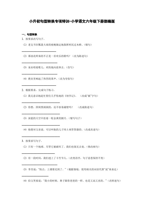 小升初句型转换专项特训-2022-2023学年语文六年级下册(部编版)(有答案)