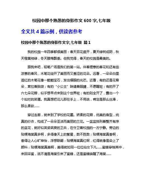 校园中那个熟悉的身影作文600字,七年级