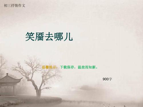 初三抒情作文《笑靥去哪儿》900字(总11页PPT)