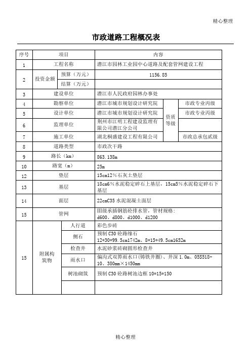 市政道路工程概况表格模板