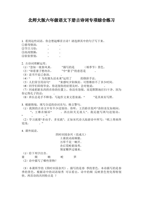 北师大版六年级语文下册古诗词专项综合练习