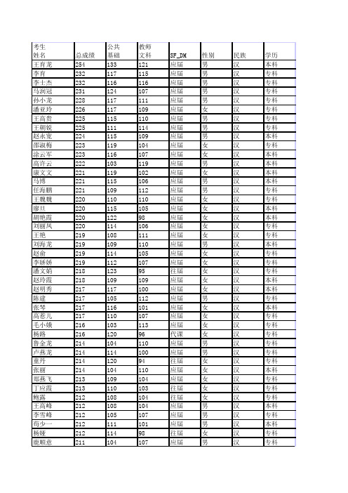 新建 Microsoft Excel 工作表