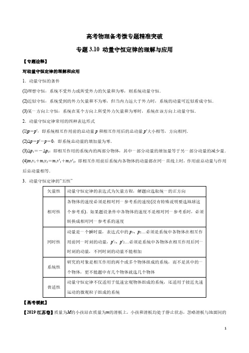 专题3.10 动量守恒定律的理解与应用(解析版)