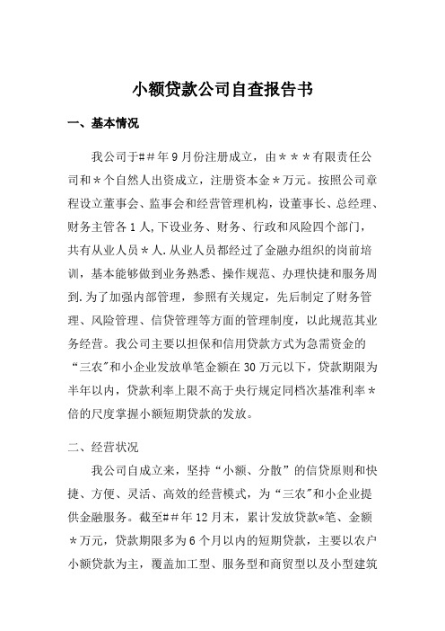 小额贷款公司自查报告书