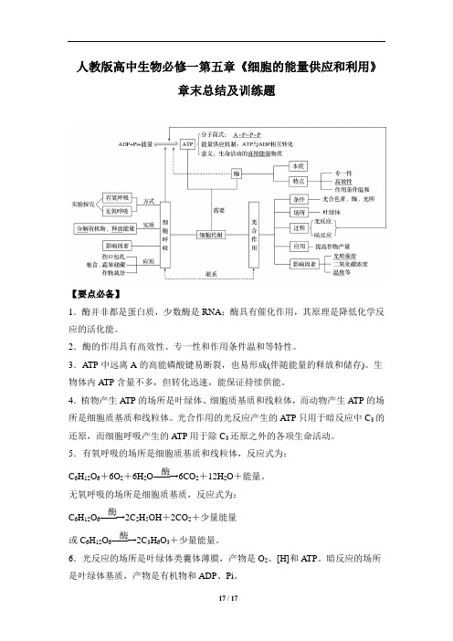 人教版高中生物必修一第五章《细胞的能量供应和利用》章末总结及训练题