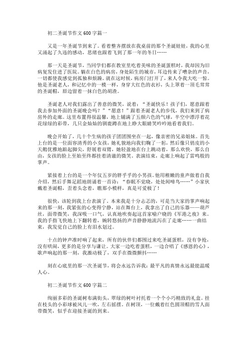 最新初二圣诞节作文600字精选汇编_189