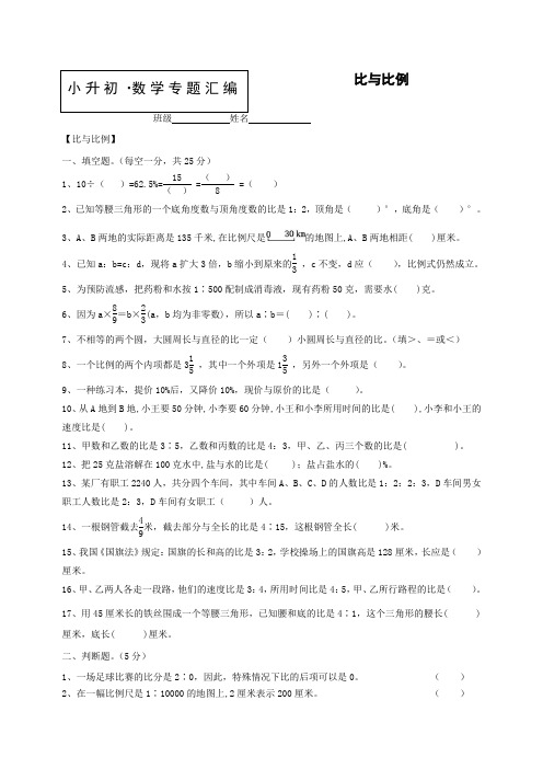 小升初数学知识点专项训练：专题比与比例(含答案)  