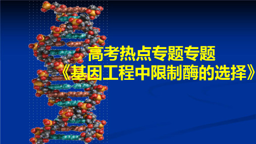 热点专题09基因工程中限制酶的选择-2023年高考生物临考热点梳理解读精讲课件