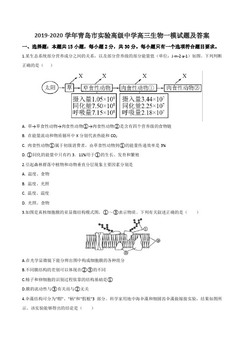 2019-2020学年青岛市实验高级中学高三生物一模试题及答案