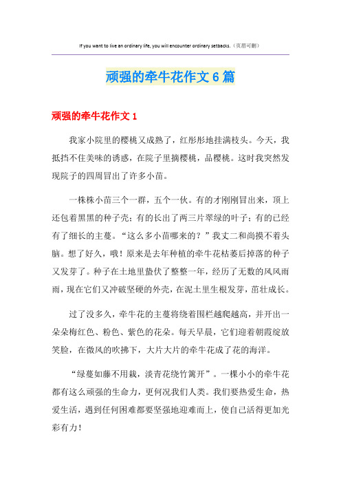 顽强的牵牛花作文6篇