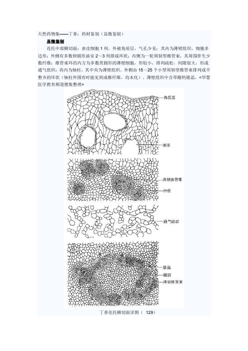 中药材显微鉴别