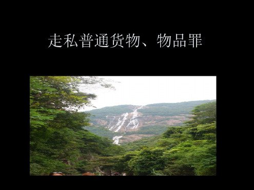 走私普通货物、物品罪-2023年学习资料