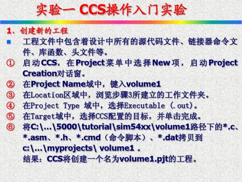 Lab1 CCS操作入门实验