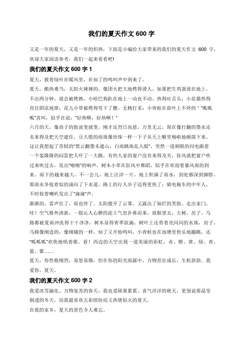 我们的夏天作文600字