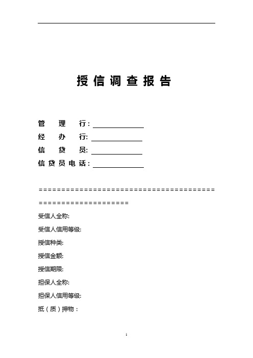 民生银行信贷部授信实战全套资料-授信调查报告